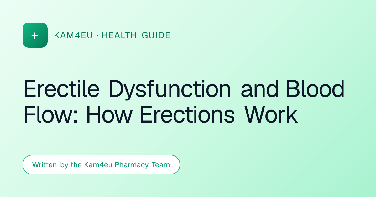 Erectile Dysfunction and Blood Flow: How Erections Work